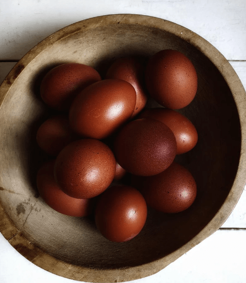 Black Copper Marans Eggs