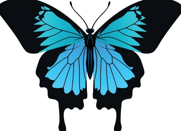 ulysses butterfly