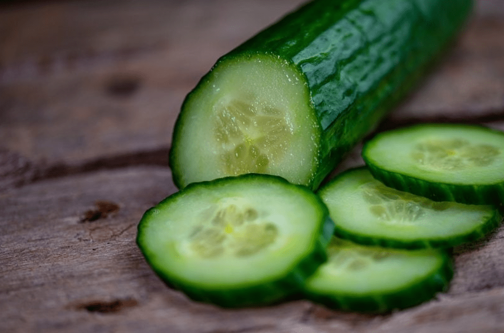 Can Bunnies Eat Cucumbers